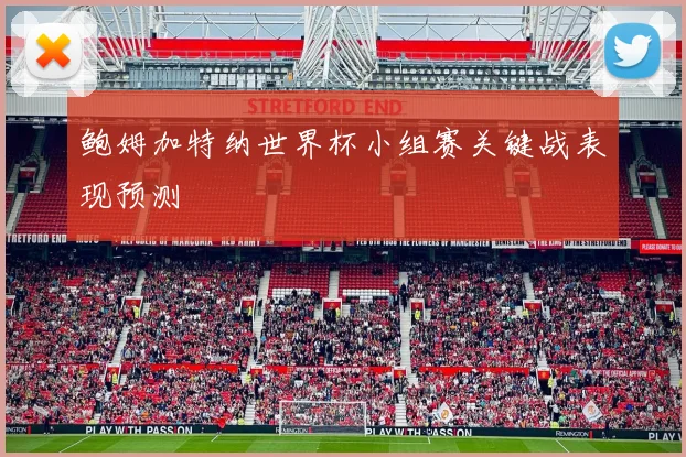 鲍姆加特纳世界杯小组赛关键战表现预测