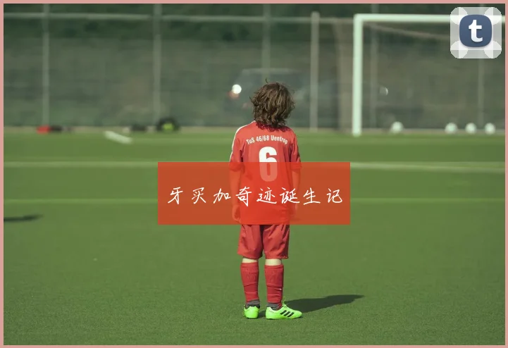 牙买加奇迹诞生记