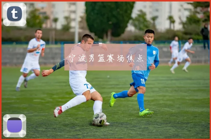宁波男篮赛场焦点
