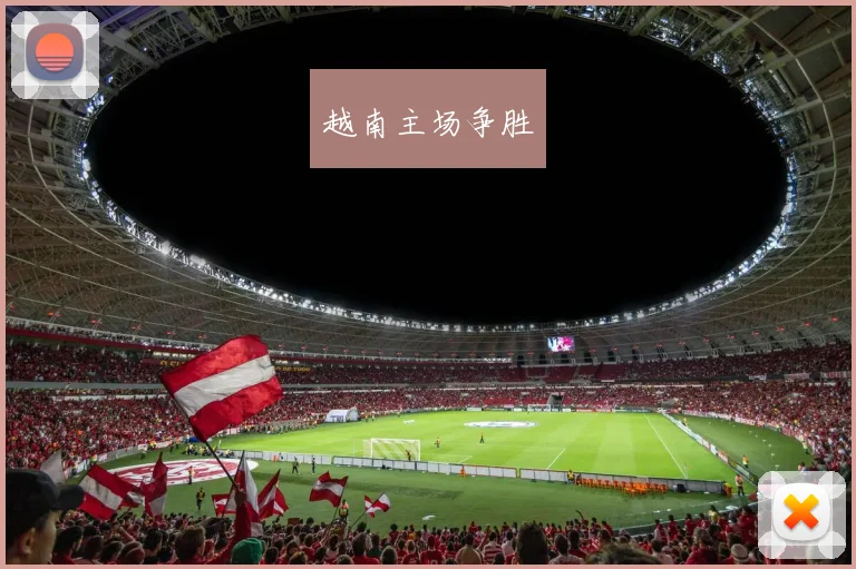越南主场争胜