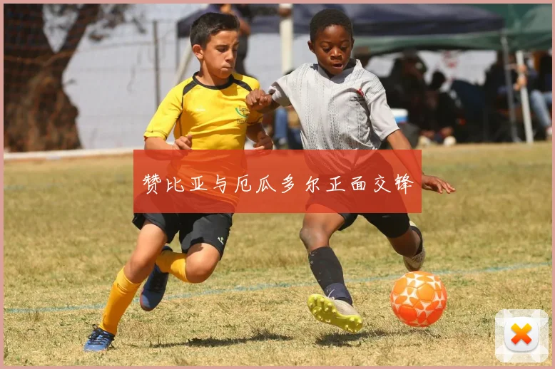赞比亚与厄瓜多尔正面交锋