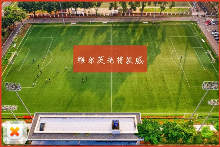 维尔茨老将发威