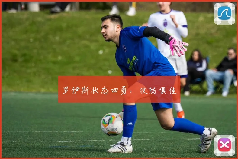 罗伊斯状态回勇，攻防俱佳