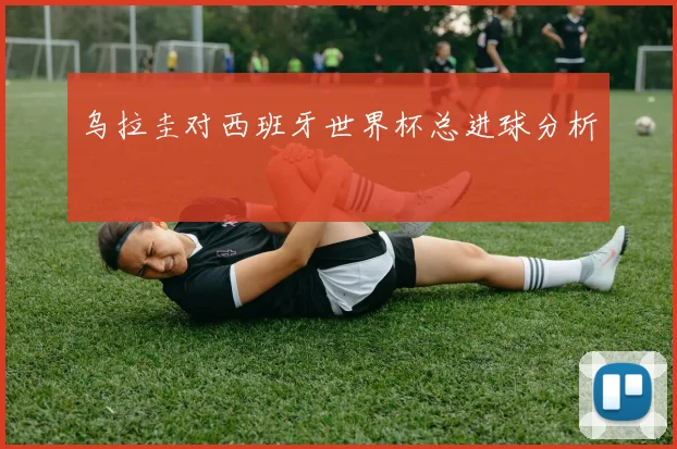 乌拉圭对西班牙世界杯总进球分析