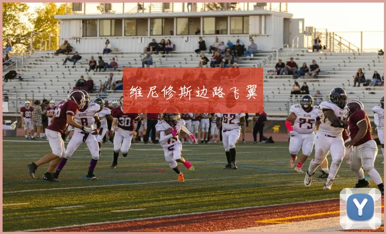 维尼修斯边路飞翼