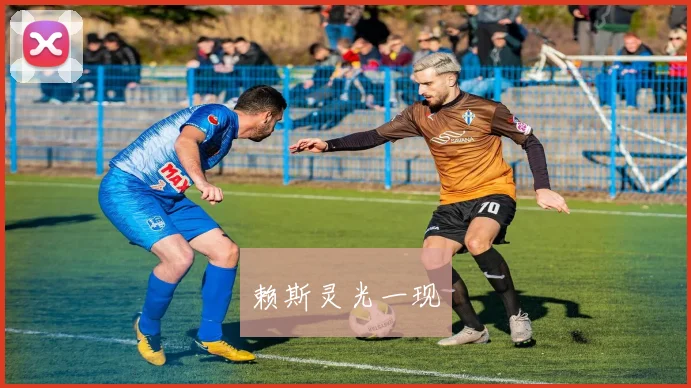赖斯灵光一现