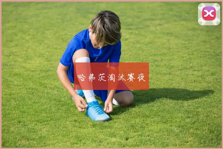 哈弗茨淘汰赛夜