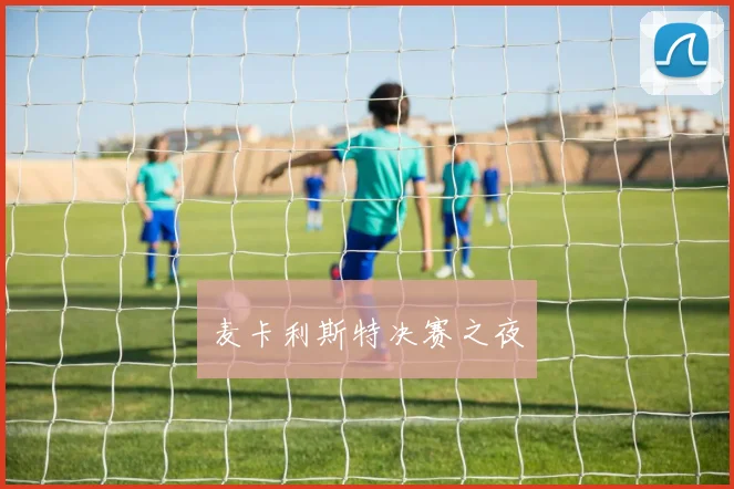 麦卡利斯特决赛之夜