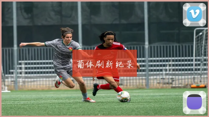 葡体刷新纪录