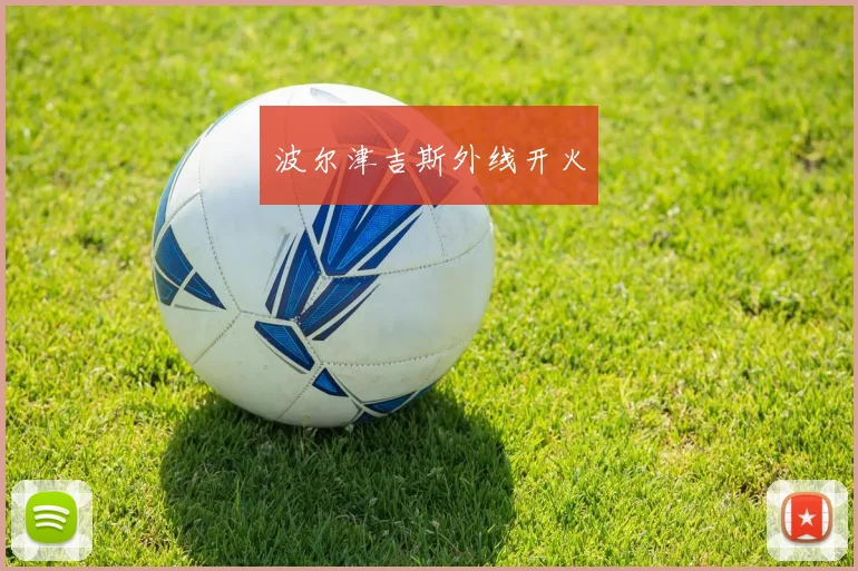 波尔津吉斯外线开火