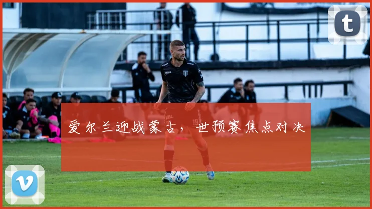 爱尔兰迎战蒙古，世预赛焦点对决