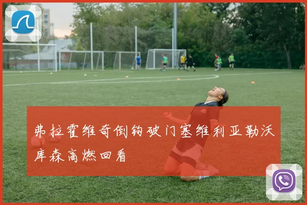 弗拉霍维奇倒钩破门塞维利亚勒沃库森高燃回看