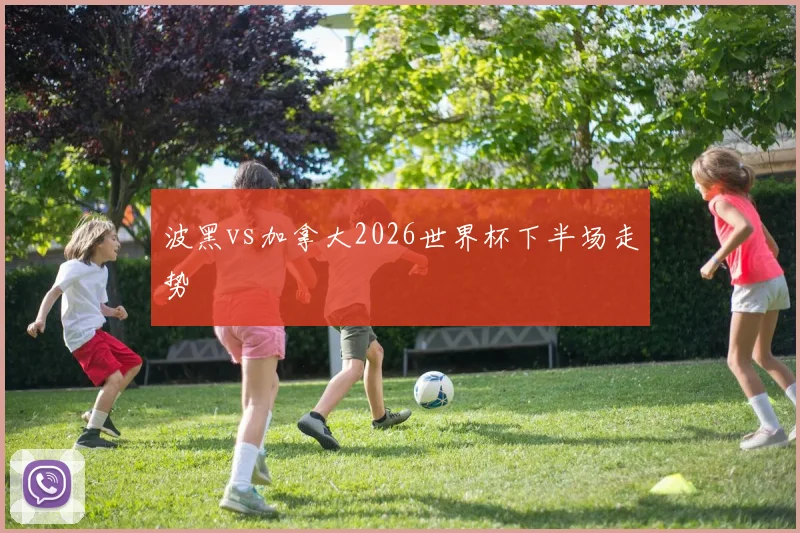 波黑vs加拿大2026世界杯下半场走势