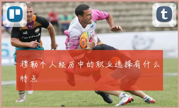 穆勒个人经历中的职业选择有什么特点