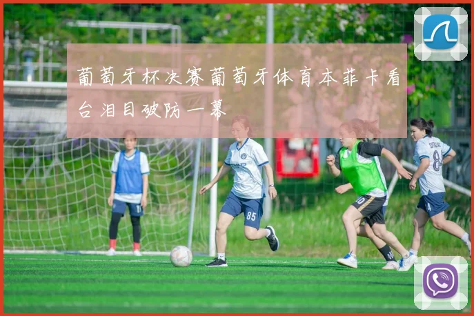 葡萄牙杯决赛葡萄牙体育本菲卡看台泪目破防一幕