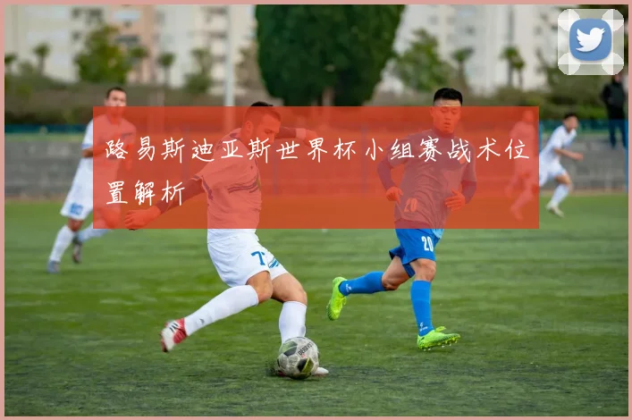路易斯迪亚斯世界杯小组赛战术位置解析