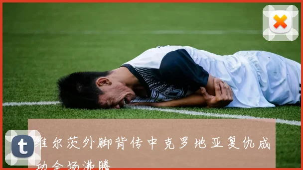 维尔茨外脚背传中克罗地亚复仇成功全场沸腾