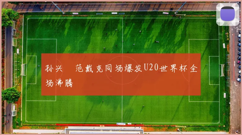 孙兴慜范戴克同场爆发U20世界杯全场沸腾