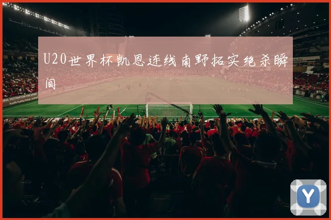 U20世界杯凯恩连线南野拓实绝杀瞬间
